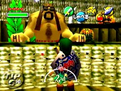 zmajora5.jpg
